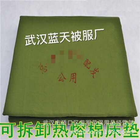 批發 單人床墊 全棉加厚單人床墊 防潮墊厚度伴您暖冬工廠,批發,進口,代購