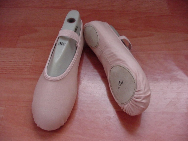 供應韓國原版舞蹈鞋(圖)麗舞神舞蹈鞋工廠,批發,進口,代購