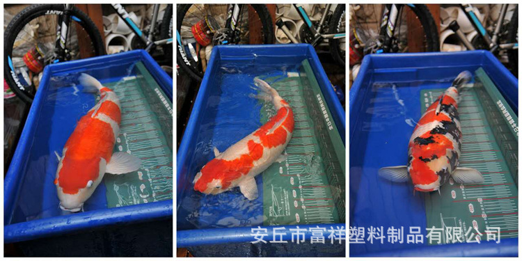 加工定製高分子推卸魚箱 抗老化大型養魚池工廠,批發,進口,代購