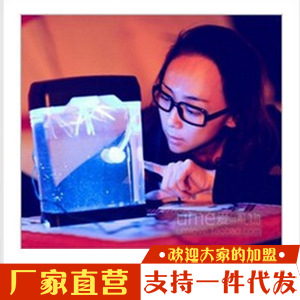 廠傢直銷 創意禮品  新款電子水族箱 曼妙水母 小夜燈工廠,批發,進口,代購