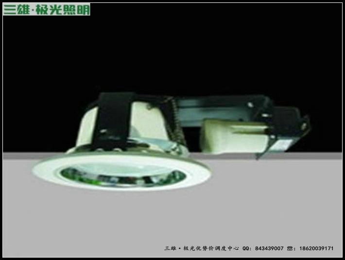 三雄 5寸星際2x10W插拔管電感防霧磨砂白色橫插筒燈PAK225060批發・進口・工廠・代買・代購