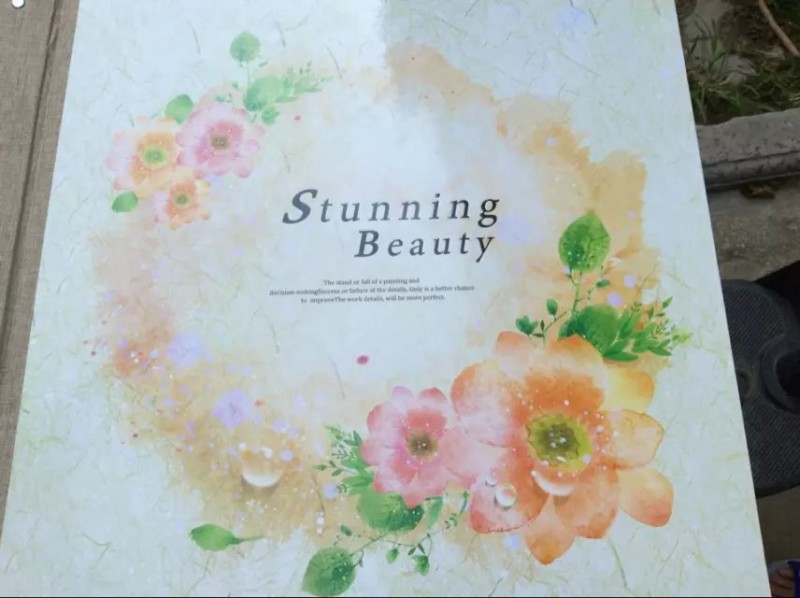 壁紙版本Stunning Beauty起點STUNNING BEAUTY墻紙廠傢EASTLONG工廠,批發,進口,代購