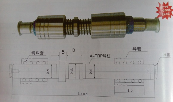 A-TRP端子模導柱組件 TRP SRP  SGP 外導向件組件  精密導柱導套工廠,批發,進口,代購