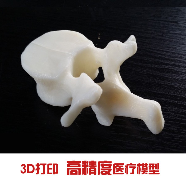 人體模型 器官模型手板3D打印批發・進口・工廠・代買・代購
