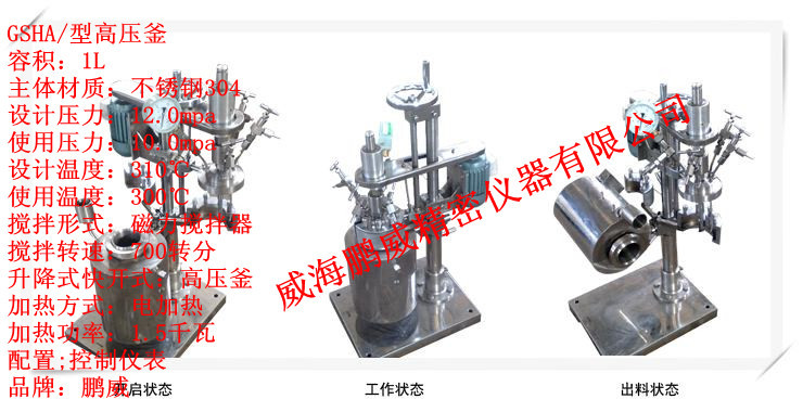 供應、升降式高壓釜、小型高壓釜、實驗室高壓釜、不銹鋼高壓釜工廠,批發,進口,代購