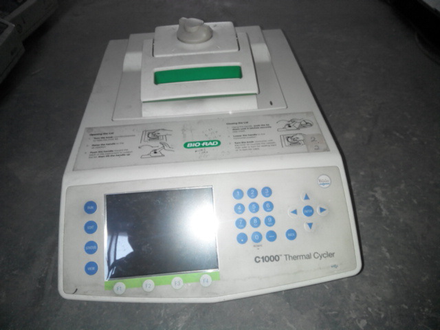 伯樂C1000 Thermal Cycler PCR工廠,批發,進口,代購