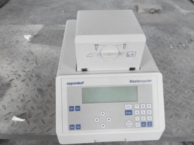 EPPENDORF 5331 MASTERCYCLER GRADIENT THERMAL CYCLER 梯度pcr工廠,批發,進口,代購