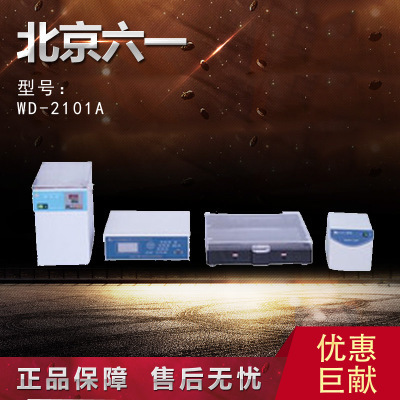 【北京六一】WD-2101A 脈沖電泳系統工廠,批發,進口,代購