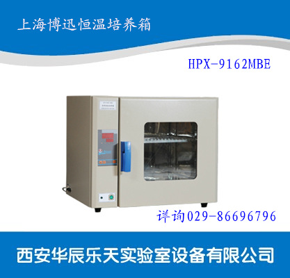 上海博迅HPX-9162MBE 電熱恒溫培養箱 細菌培養箱微生物培養箱批發・進口・工廠・代買・代購