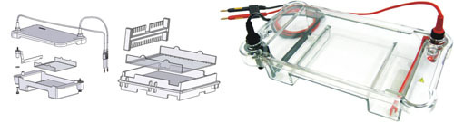 北京百晶水平電泳機BG-subMIDI工廠,批發,進口,代購