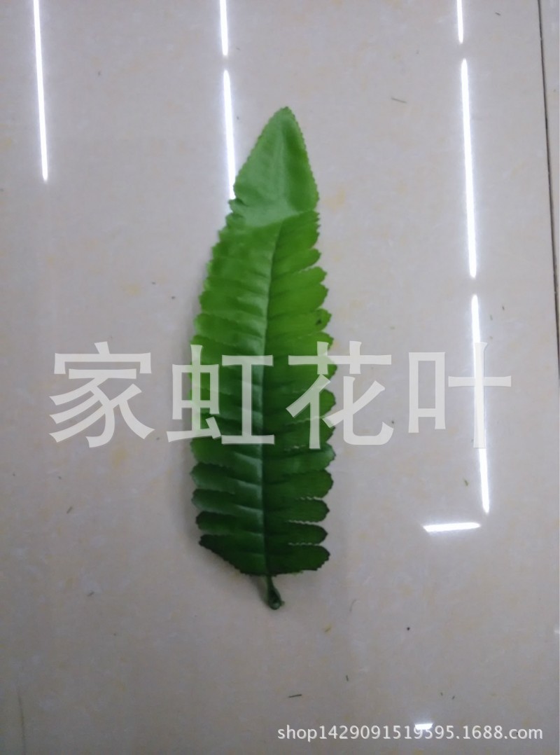 波斯葉透孔 單片魚刺葉波斯草蕨草排草仿真花葉樹葉植物葉1件=1斤工廠,批發,進口,代購