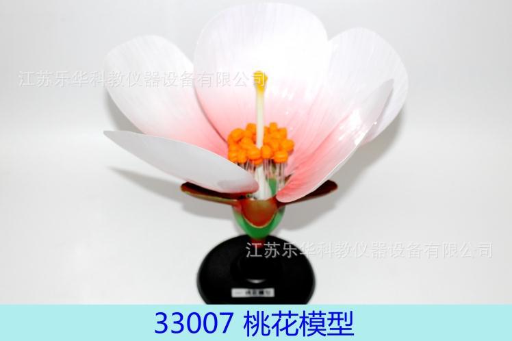 【樂華】J33007 桃花模型 生物教學模型 示教模型工廠,批發,進口,代購
