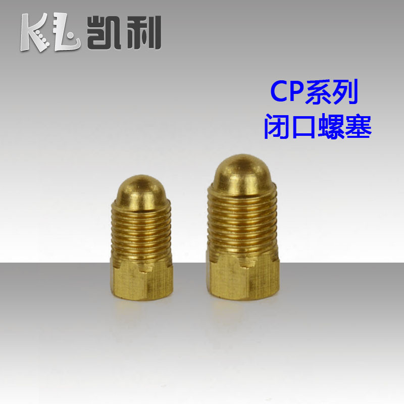 CP-4閉口螺塞 /固定油管接頭/油管泵接頭工廠,批發,進口,代購