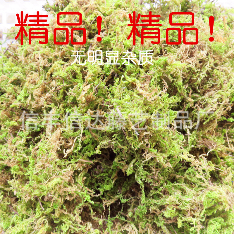 天然精品乾苔蘚無明顯雜質 烏龜過冬保溫 婚禮居傢裝飾 100g/袋工廠,批發,進口,代購