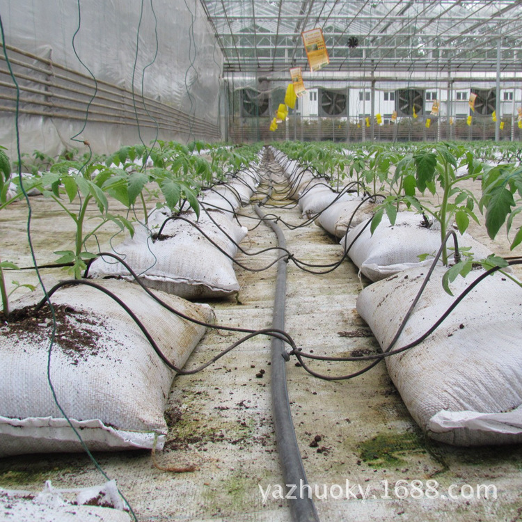 多肉植物防腐爛根的超級營養土批發・進口・工廠・代買・代購