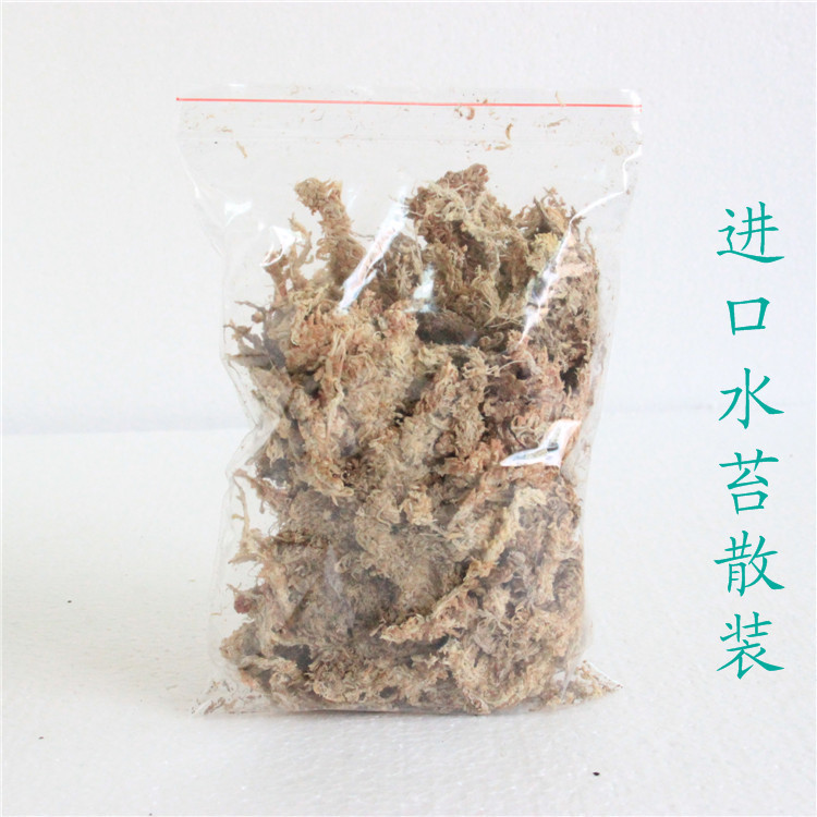 苔蘚微景觀  多肉種植基質 批發 散裝 一袋30g 進口專業水苔批發・進口・工廠・代買・代購