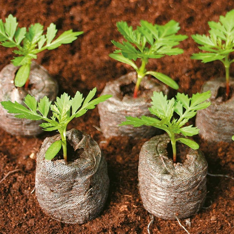 園藝栽培壓縮土植物花卉育苗有機營養土批發批發・進口・工廠・代買・代購