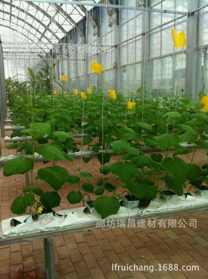 代替進口種植類農業巖棉，可替代土壤種植/無土栽培工廠,批發,進口,代購