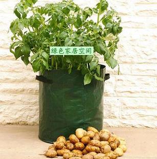 陽臺菜園 土豆蔬菜種植袋 2個一套 種花 種菜袋（廠傢直銷）批發・進口・工廠・代買・代購