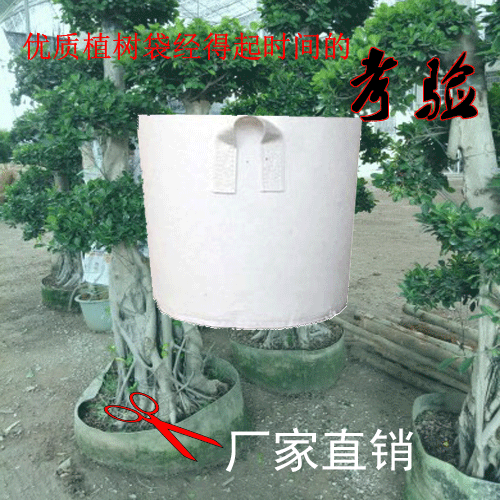 廠傢直銷無紡佈植樹袋美植袋加厚植樹袋營養缽營養袋育苗袋工廠,批發,進口,代購