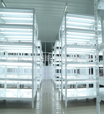 組織培養架 多層光照培養架 植物組培架 植物培養架 全光譜LED燈批發・進口・工廠・代買・代購