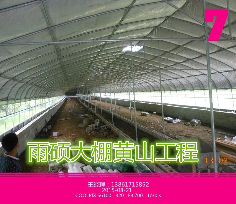 湖南湖北最新抗八級臺風新型養殖蔬菜大棚廠傢直銷供應全國工廠,批發,進口,代購