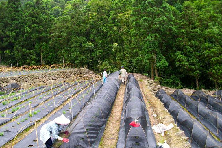 農用除草佈，園林用地佈，廠傢直銷，質優價廉.工廠,批發,進口,代購