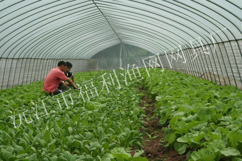 蔬菜防護網具，植物種植防蟲網批發工廠,批發,進口,代購