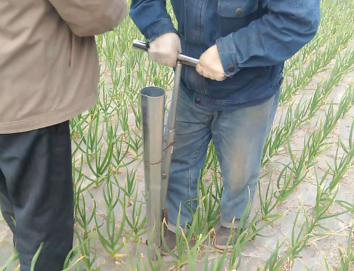 套種辣椒移栽器批發・進口・工廠・代買・代購