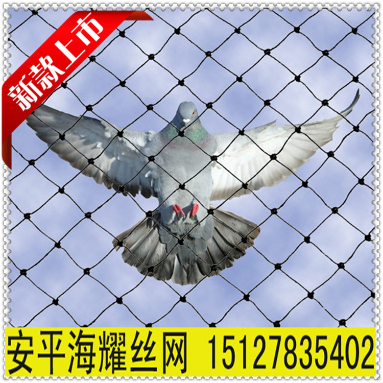 廠傢批發防鳥網|果園防鳥網|葡萄防鳥網|加工定做各種規格防鳥網批發・進口・工廠・代買・代購