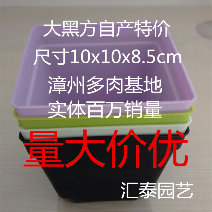 匯泰園藝自產供應特價批發彩色方盆大方盆 大黑方10x8.5多肉花盆批發・進口・工廠・代買・代購