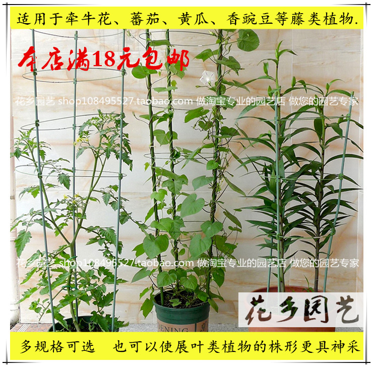 18元包郵 植物固定爬藤架子 鐵環花支架藤本支架攀爬植物專用花架批發・進口・工廠・代買・代購