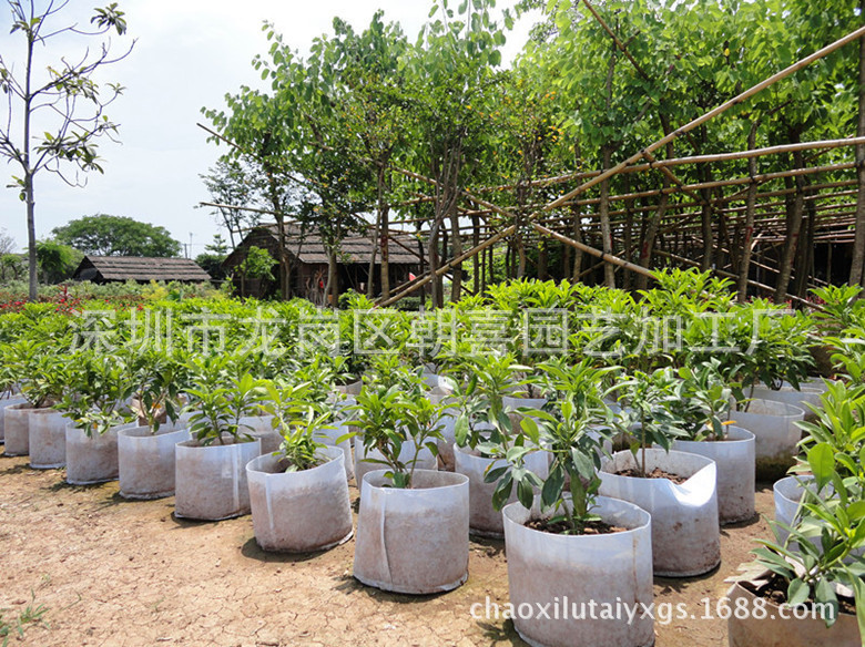 大量供應，針刺無紡佈種植袋/植樹袋/美植袋，價格低工廠,批發,進口,代購