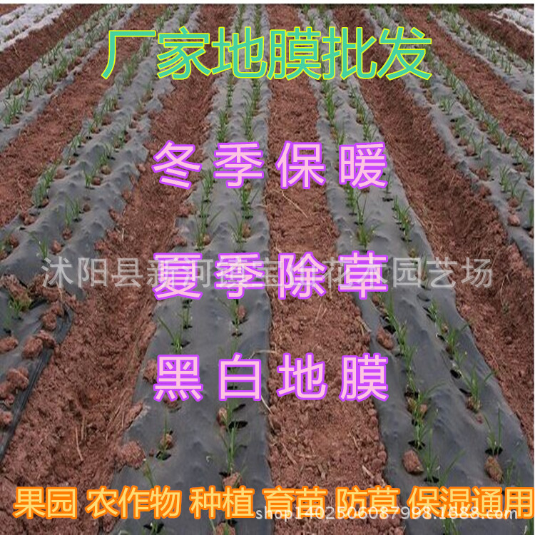 廠傢塑料薄膜批發 白色地膜 黑色地膜批發 育苗 種植 防草通用批發・進口・工廠・代買・代購