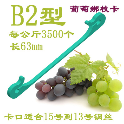 B2型 B201 綁枝卡  葡萄、獼猴桃綁枝卡 廠傢直銷批發・進口・工廠・代買・代購