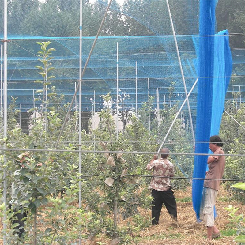 廠傢直銷 包郵定製加工錦綸綜絲防護網養殖網蔬菜防護網葡萄網批發・進口・工廠・代買・代購