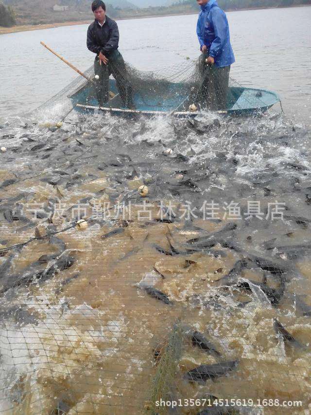 寧波深水水庫免費捕撈隊批發・進口・工廠・代買・代購