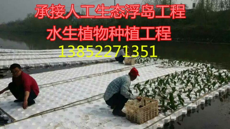 人工生態浮島水生植物種植浮床生態浮床凈化水質工程河道治理工廠,批發,進口,代購