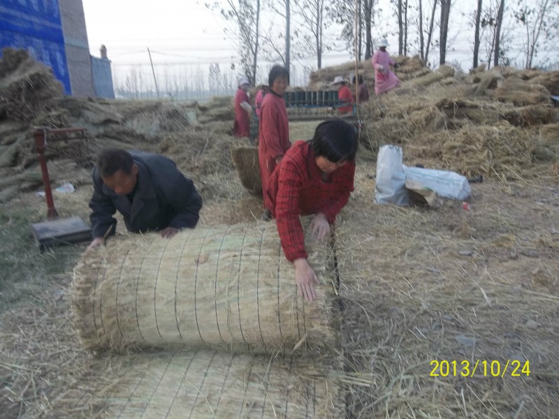 草簾溫室大棚，保溫路麵，園林綠化等工廠,批發,進口,代購