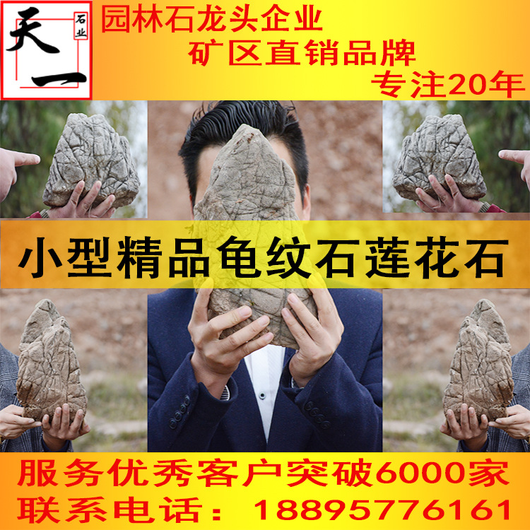 廠傢直銷小龜紋石小假山石小盆景石魚缸石龜紋石假山精品小蓮花石工廠,批發,進口,代購