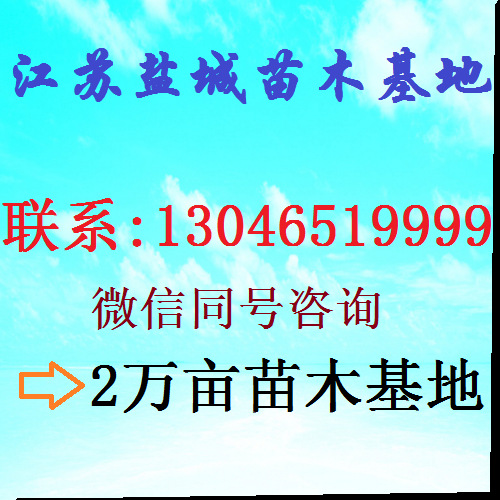 茅草屋頂，供應茅草屋頂材料工廠,批發,進口,代購