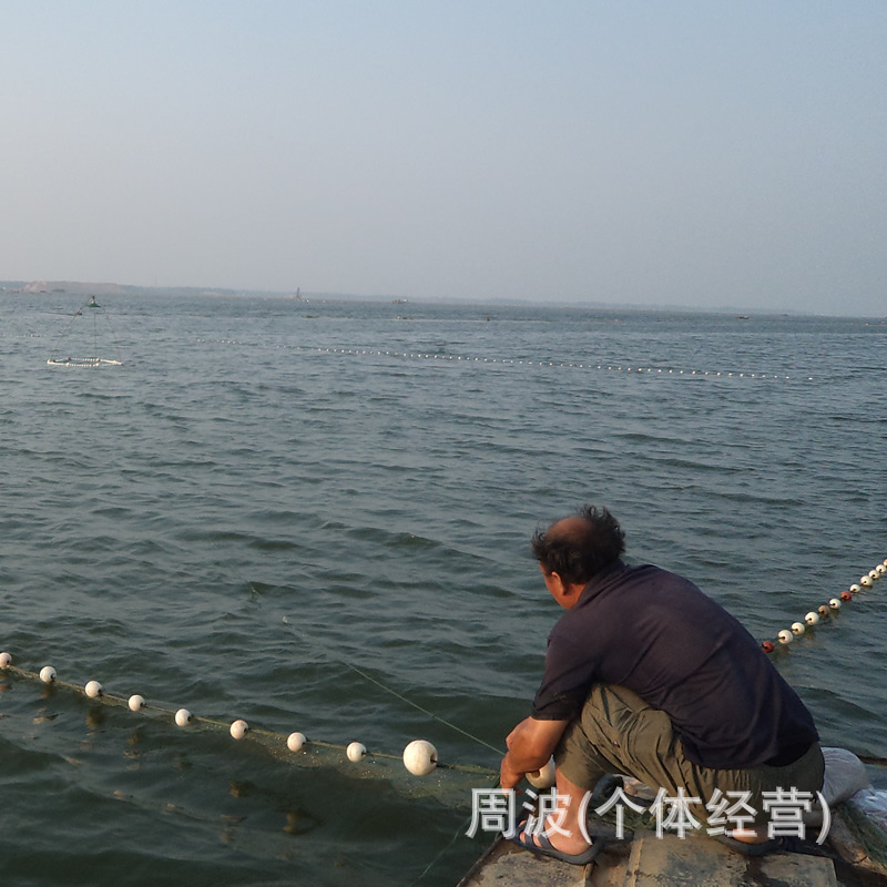 洪瑞漁網 大量供應 生產加工優質精品  燈照網  品質保證工廠,批發,進口,代購