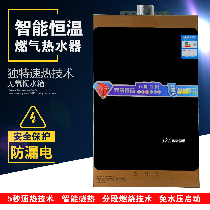 恒溫速熱熱水器 廠傢批發速熱式傢用熱水器12升16升 防凍恒溫工廠,批發,進口,代購