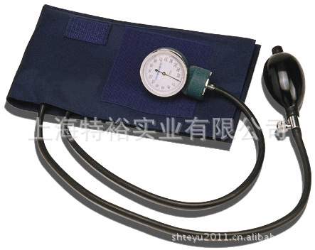 sphygmomanometer 血壓表 血壓表代工 外銷血壓表 不含聽診器批發・進口・工廠・代買・代購