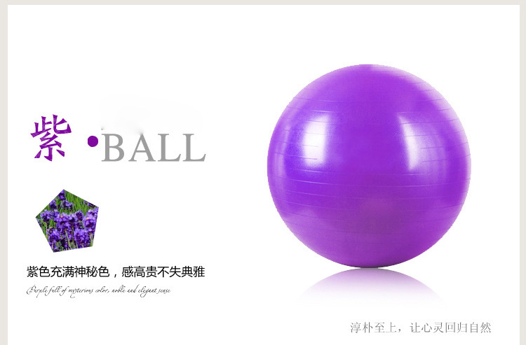 廠傢直銷65厘米瑜伽球 鄭多燕瑜伽球 大龍球 珠光 按摩健身球工廠,批發,進口,代購