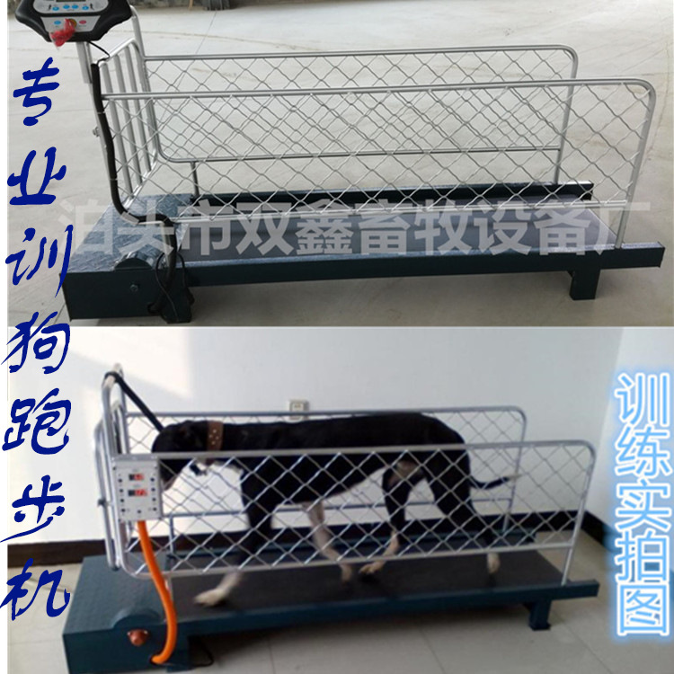 廠傢直銷跑步機 寵物狗跑步機 藏獒大型犬跑步機批發・進口・工廠・代買・代購