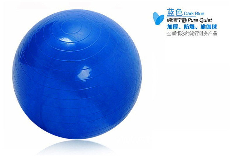 正品 2016新款 85cm 防爆瑜伽健身平衡球工廠,批發,進口,代購