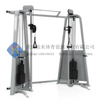 美國必確PRECOR-FTS綜合功能訓練器（大飛鳥） 專業力量訓練器材工廠,批發,進口,代購