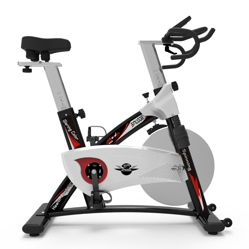 動感單車斯諾德S6超靜音傢用室內帶減震腳踏有氧運動自行健身車批發・進口・工廠・代買・代購