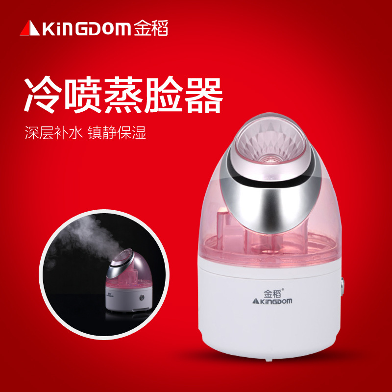 金稻KD2331-8蒸臉器納米噴霧器補水神器美容加濕器噴霧器廠傢直銷工廠,批發,進口,代購